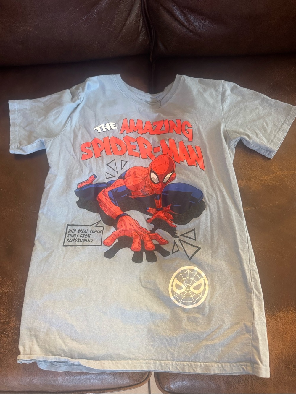 Marvel Spider-Man Short Sleeve Tee in Light Blue with Red Graphic